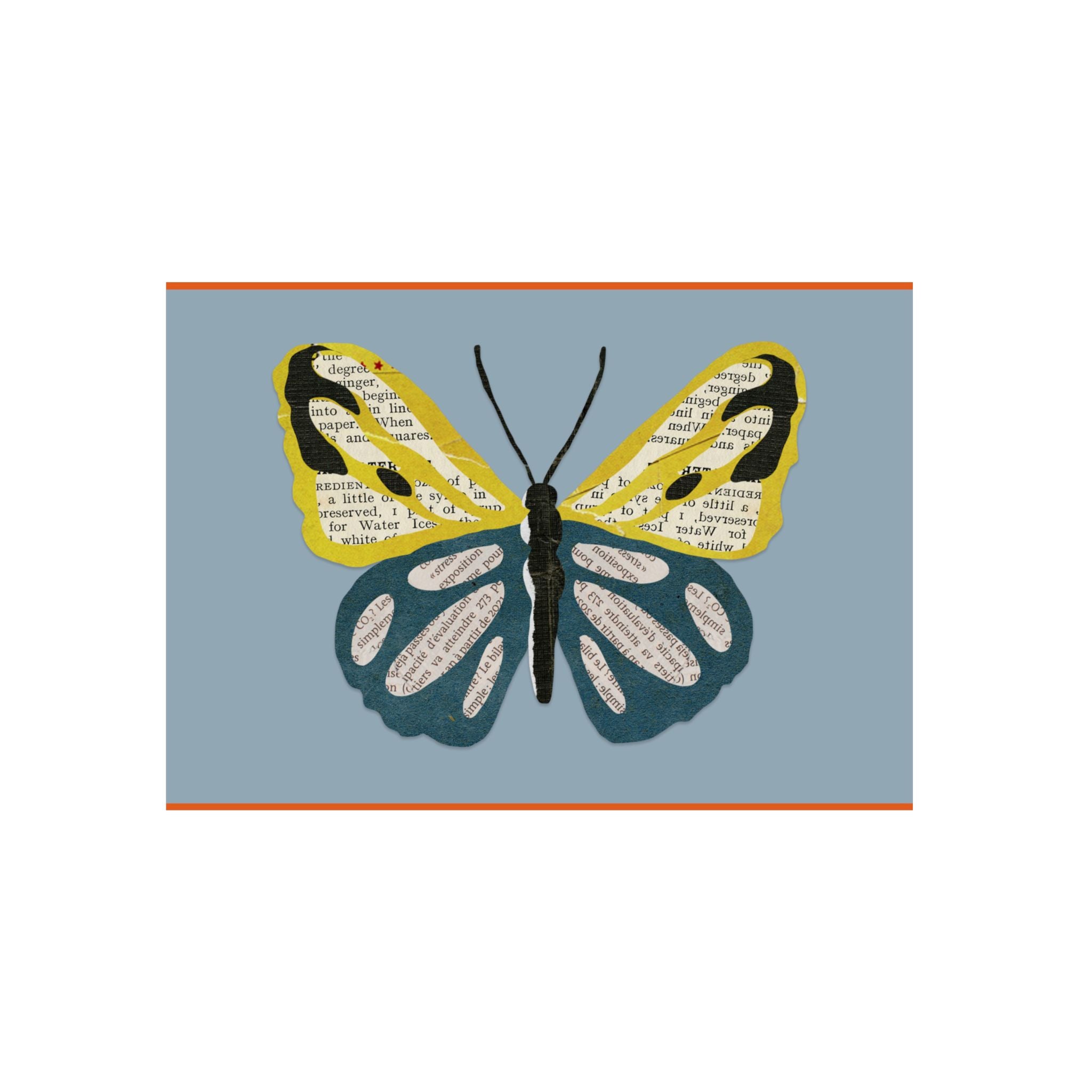 Butterfly Wall Art | Butterfly Wall Decor | Blue Star Merch